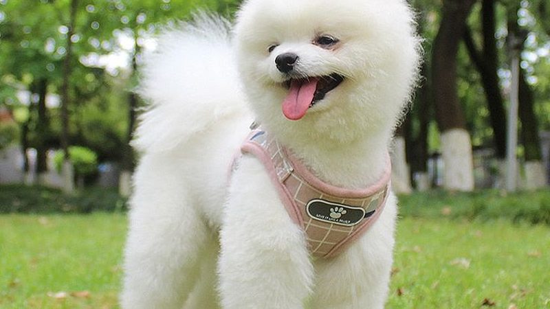 螺杆冷水机节能效果解析：关键因素与实际应用